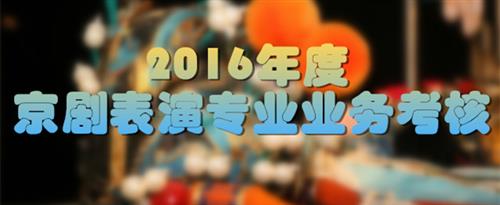 屌操屄外国国家京剧院2016年度京剧表演专业业务考...